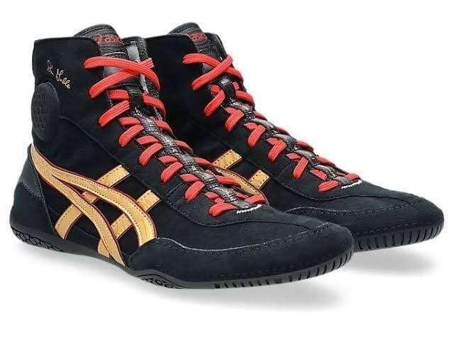 ویژگی و مشخصات کفش Asics مدل Dan Gable