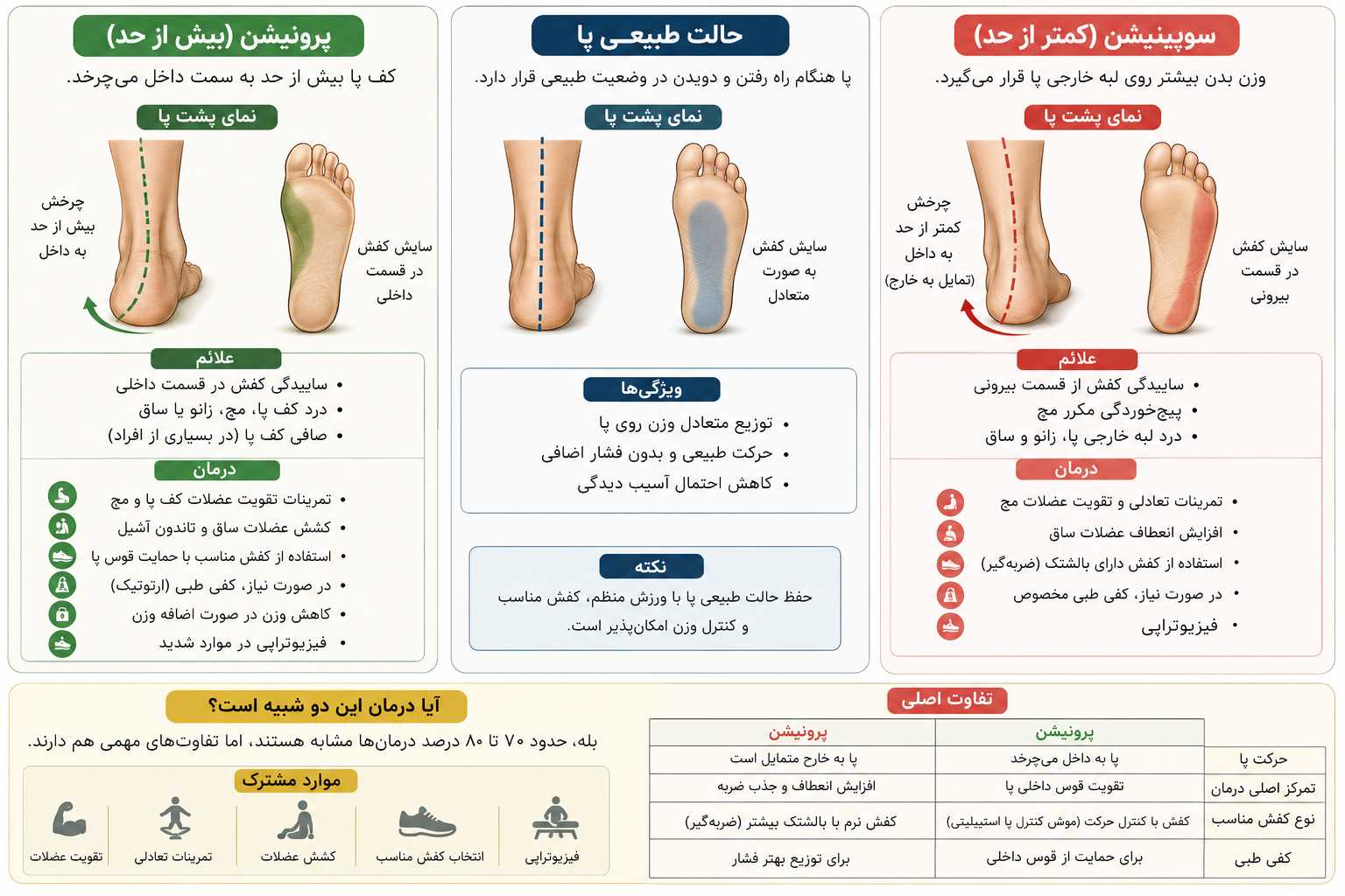 تفاوت پرونیشن و سوپینیشن پا چیست؟
