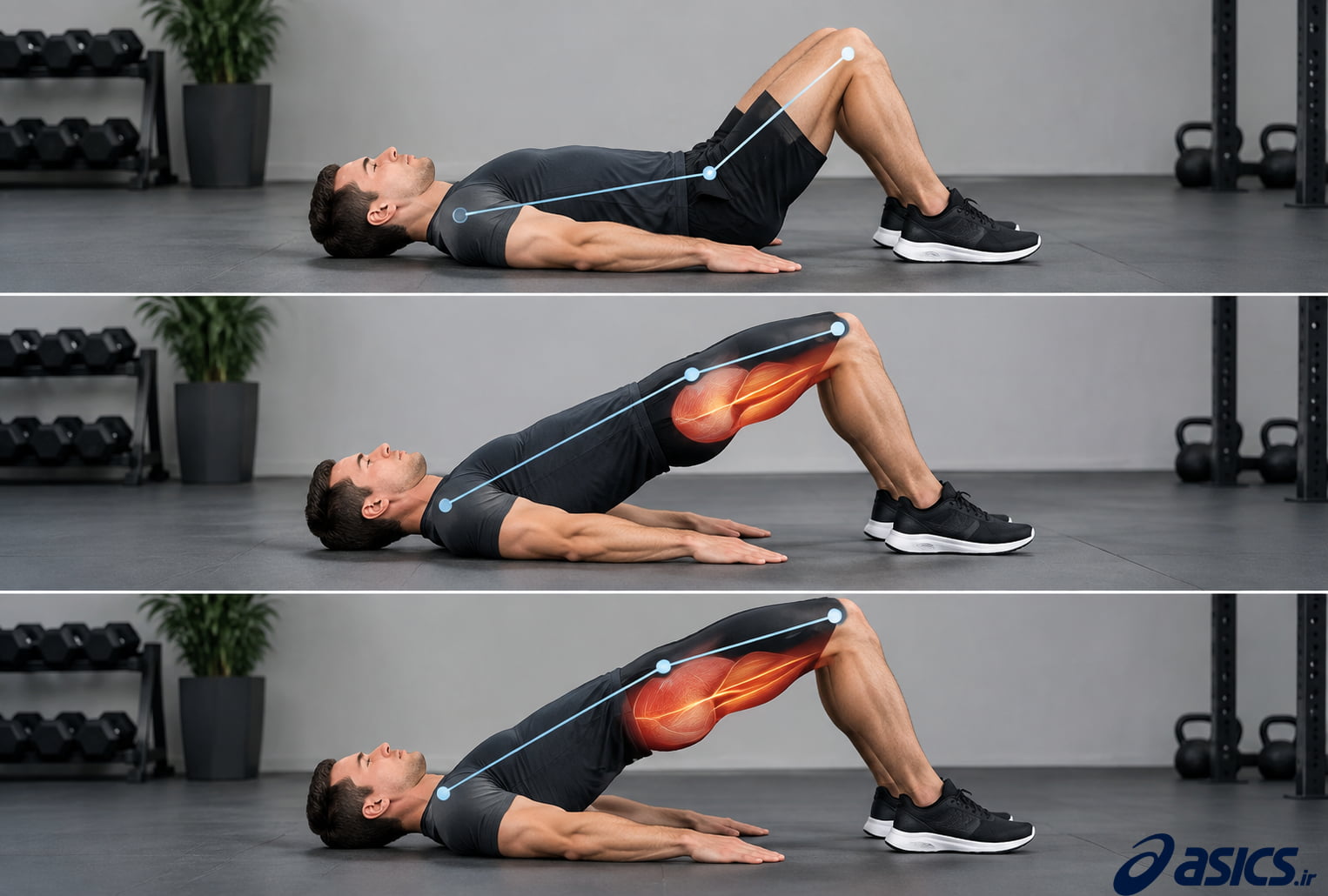 تقویت همسترینگ و عضلات سرینی با پل باسن (Hip Bridge)